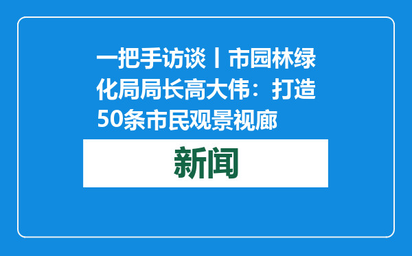 一把手访谈丨市园林绿化局局长高大伟：打造50条市民观景视廊