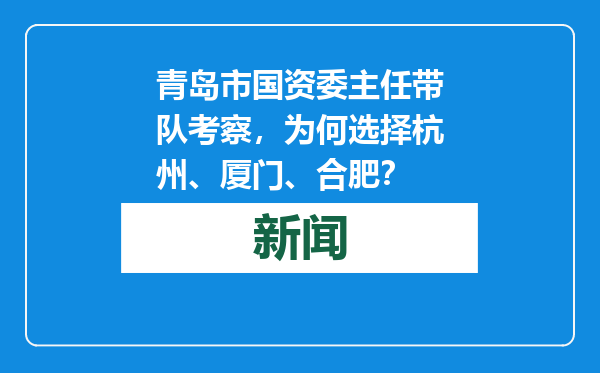 青岛市国资委主任带队考察，为何选择杭州、厦门、合肥？