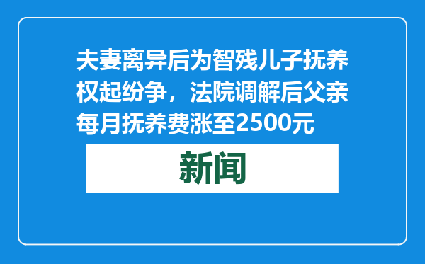 夫妻离异后为智残儿子抚养权起纷争，法院调解后父亲每月抚养费涨至2500元