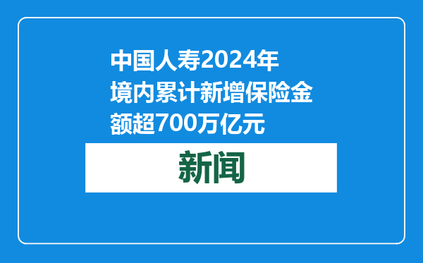 中国人寿2024年境内累计新增保险金额超700万亿元