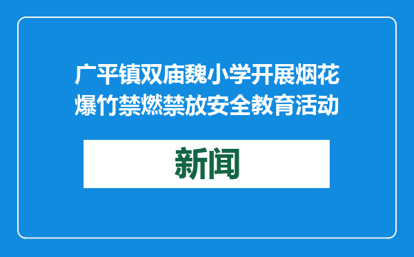 广平镇双庙魏小学开展烟花爆竹禁燃禁放安全教育活动