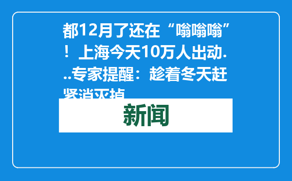 都12月了还在“嗡嗡嗡”！上海今天10万人出动...专家提醒：趁着冬天赶紧消灭掉