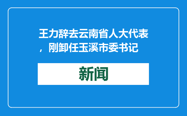 王力辞去云南省人大代表，刚卸任玉溪市委书记
