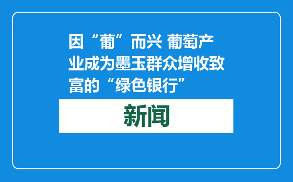 因“葡”而兴 葡萄产业成为墨玉群众增收致富的“绿色银行”