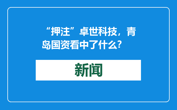 “押注”卓世科技，青岛国资看中了什么？