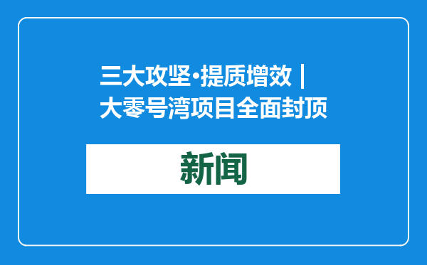 三大攻坚•提质增效 | 大零号湾项目全面封顶