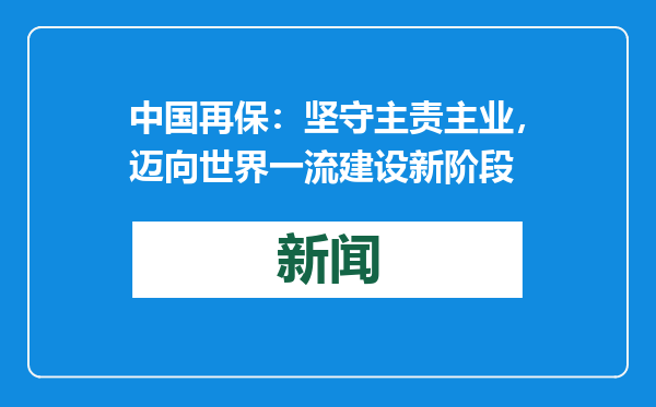 中国再保：坚守主责主业，迈向世界一流建设新阶段