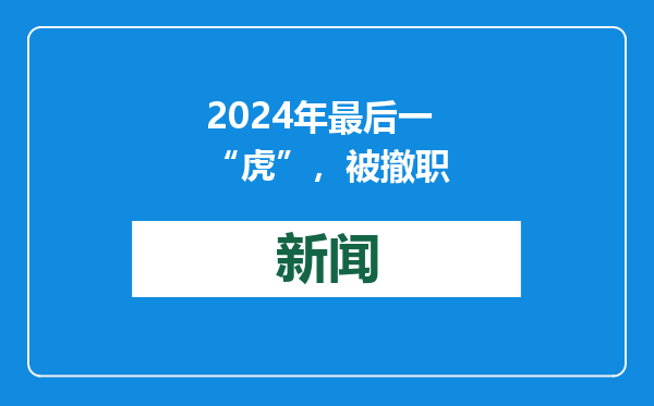 2024年最后一“虎”，被撤职