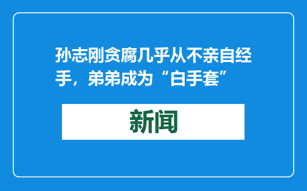 孙志刚贪腐几乎从不亲自经手，弟弟成为“白手套”