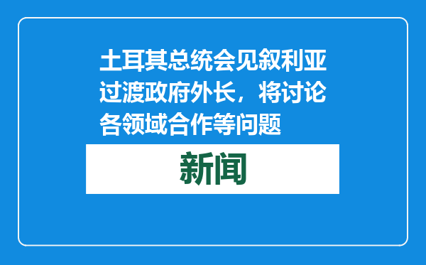 土耳其总统会见叙利亚过渡政府外长，将讨论各领域合作等问题
