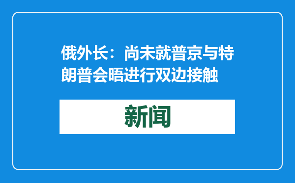 俄外长：尚未就普京与特朗普会晤进行双边接触