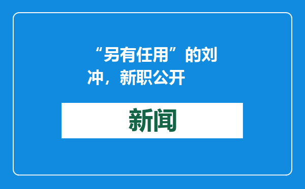 “另有任用”的刘冲，新职公开