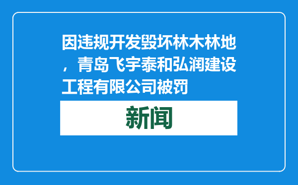 因违规开发毁坏林木林地，青岛飞宇泰和弘润建设工程有限公司被罚