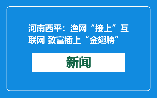 河南西平：渔网“接上”互联网 致富插上“金翅膀”