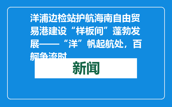 洋浦边检站护航海南自由贸易港建设“样板间”蓬勃发展——“洋”帆起航处，百舸争流时