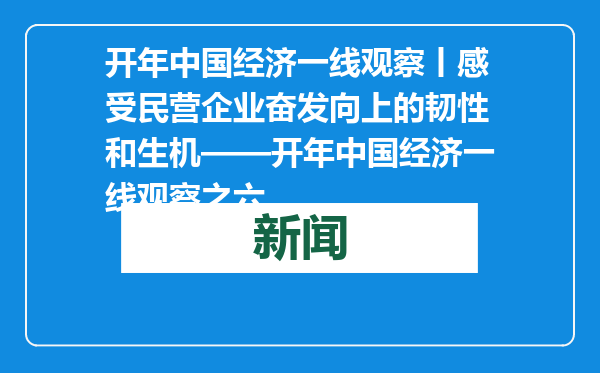开年中国经济一线观察丨感受民营企业奋发向上的韧性和生机——开年中国经济一线观察之六