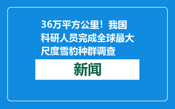 36万平方公里！我国科研人员完成全球最大尺度雪豹种群调查
