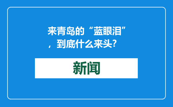 来青岛的“蓝眼泪”，到底什么来头？