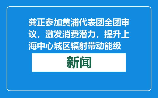 龚正参加黄浦代表团全团审议，激发消费潜力，提升上海中心城区辐射带动能级
