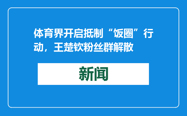 体育界开启抵制“饭圈”行动，王楚钦粉丝群解散