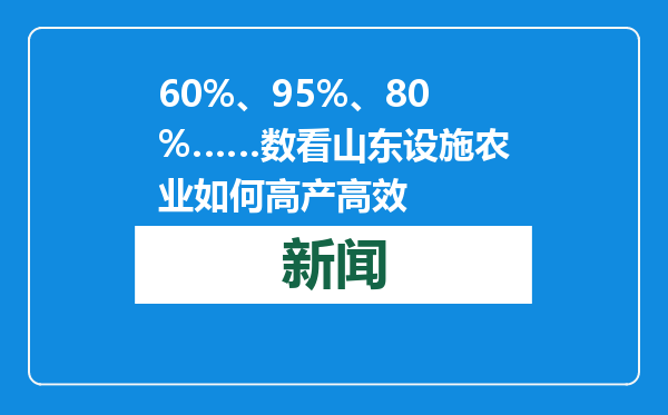 60%、95%、80%……数看山东设施农业如何高产高效