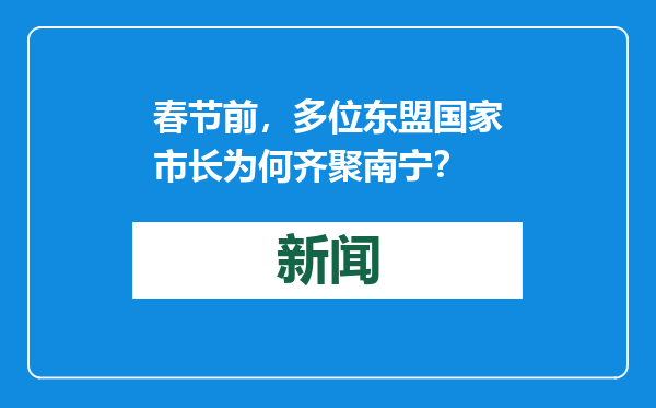 春节前，多位东盟国家市长为何齐聚南宁？