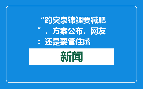 “趵突泉锦鲤要减肥”，方案公布，网友：还是要管住嘴