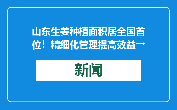 山东生姜种植面积居全国首位！精细化管理提高效益→