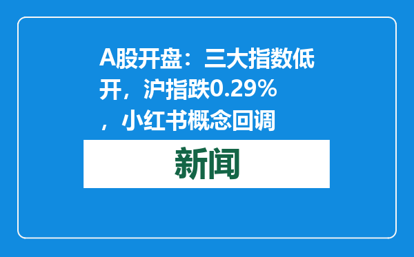 A股开盘：三大指数低开，沪指跌0.29%，小红书概念回调