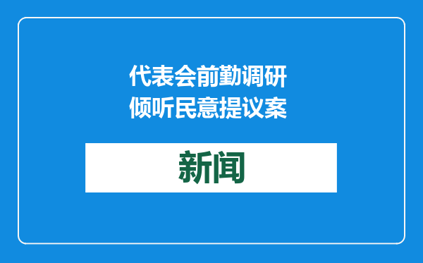 代表会前勤调研 倾听民意提议案