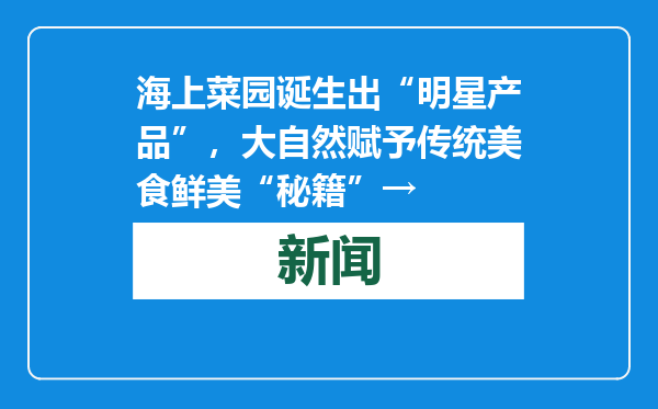 海上菜园诞生出“明星产品”，大自然赋予传统美食鲜美“秘籍”→
