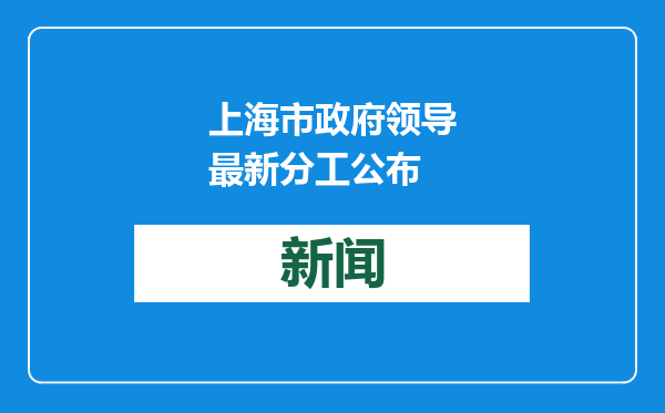 上海市政府领导最新分工公布