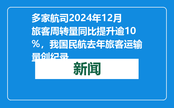 多家航司2024年12月旅客周转量同比提升逾10%，我国民航去年旅客运输量创纪录