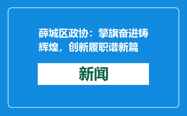 薛城区政协：擎旗奋进铸辉煌，创新履职谱新篇