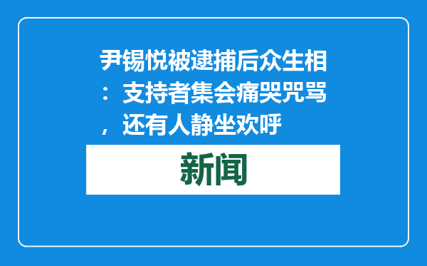 尹锡悦被逮捕后众生相：支持者集会痛哭咒骂，还有人静坐欢呼