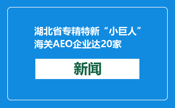湖北省专精特新“小巨人”海关AEO企业达20家