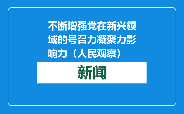 不断增强党在新兴领域的号召力凝聚力影响力（人民观察）