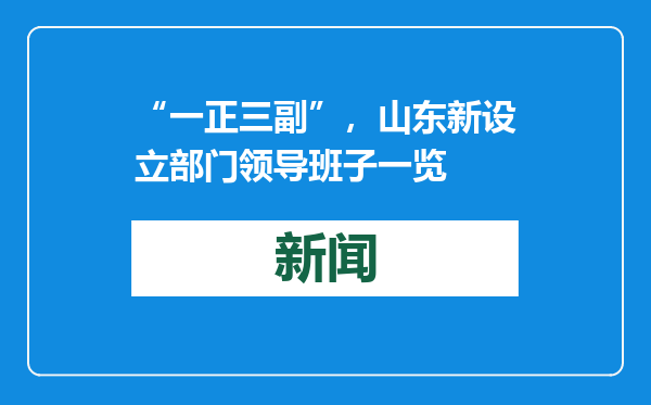 “一正三副”，山东新设立部门领导班子一览