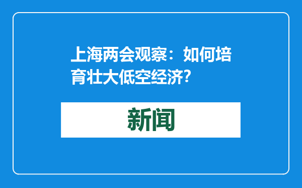 上海两会观察：如何培育壮大低空经济？