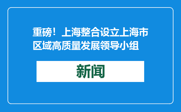 重磅！上海整合设立上海市区域高质量发展领导小组
