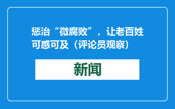 惩治“微腐败”，让老百姓可感可及（评论员观察）