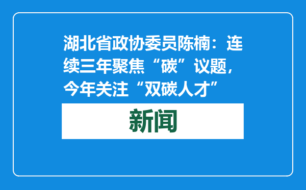 湖北省政协委员陈楠：连续三年聚焦“碳”议题，今年关注“双碳人才”