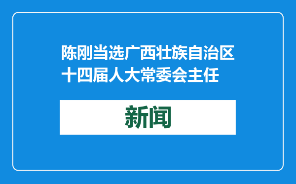 陈刚当选广西壮族自治区十四届人大常委会主任