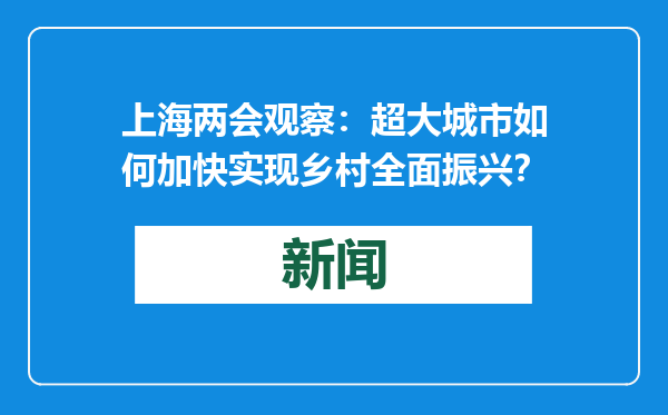 上海两会观察：超大城市如何加快实现乡村全面振兴？