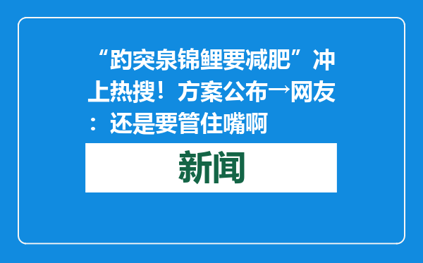 “趵突泉锦鲤要减肥”冲上热搜！方案公布→网友：还是要管住嘴啊