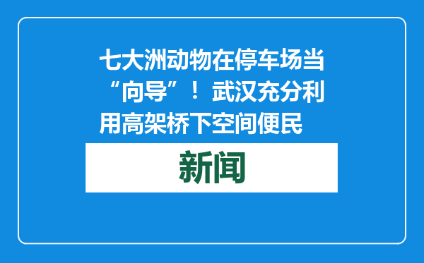 七大洲动物在停车场当“向导”！武汉充分利用高架桥下空间便民