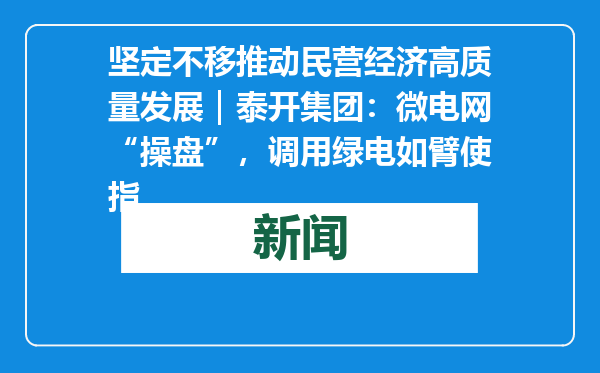 坚定不移推动民营经济高质量发展｜泰开集团：微电网“操盘”，调用绿电如臂使指
