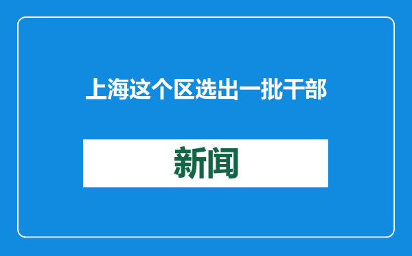 上海这个区选出一批干部