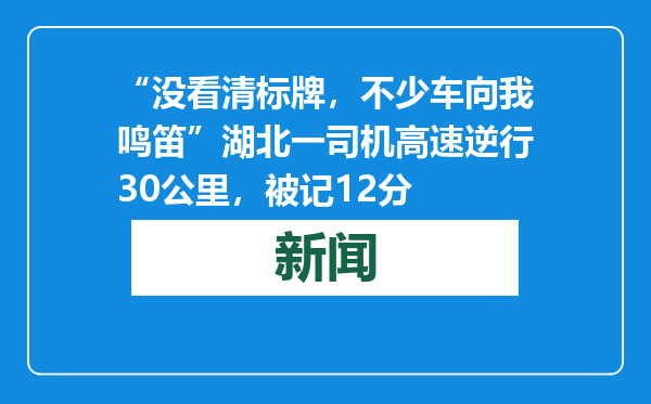 “没看清标牌，不少车向我鸣笛”湖北一司机高速逆行30公里，被记12分
