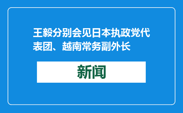 王毅分别会见日本执政党代表团、越南常务副外长